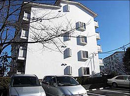 塗料と水切りの汚染防止効果